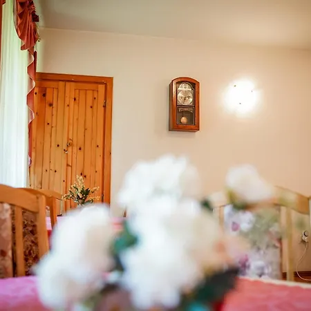 Pensjonat Watra-widok Na Tatry&blisko Term Bukowina Bukowina Tatrzańska